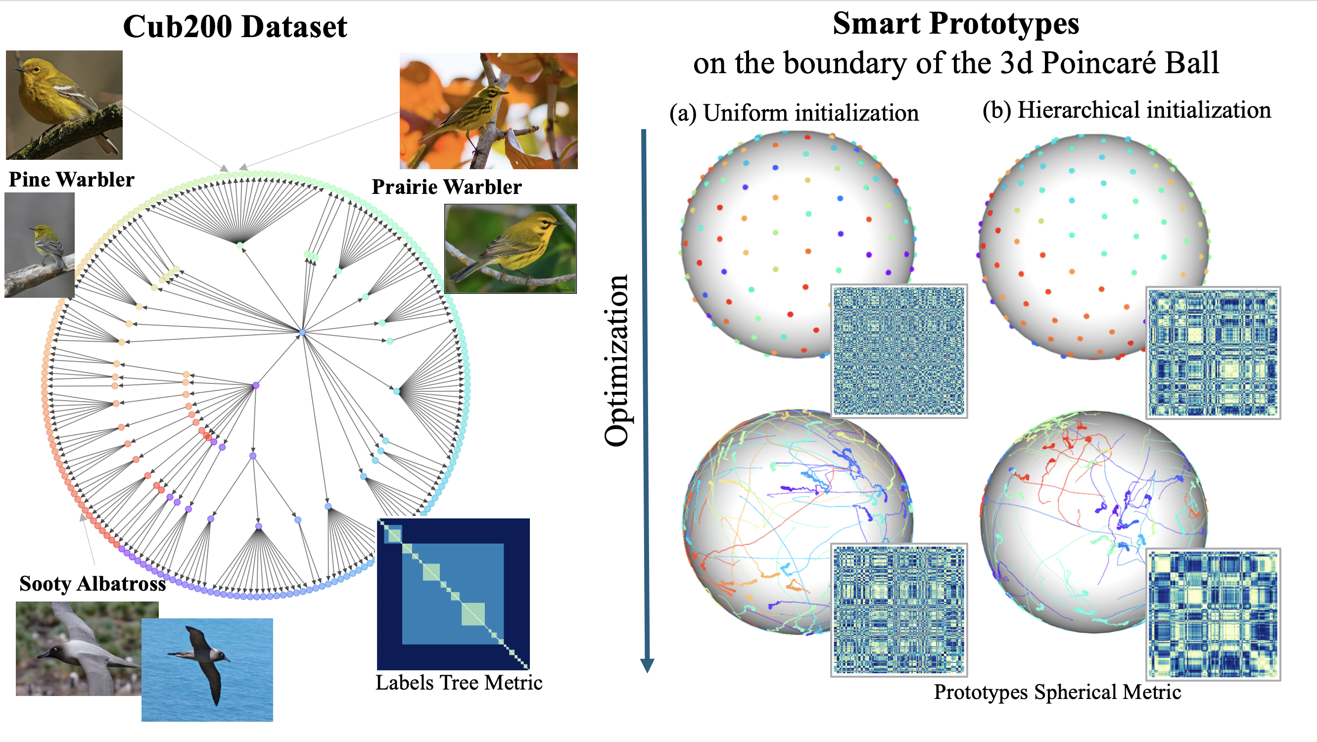 Horospherical learning with smart prototypes